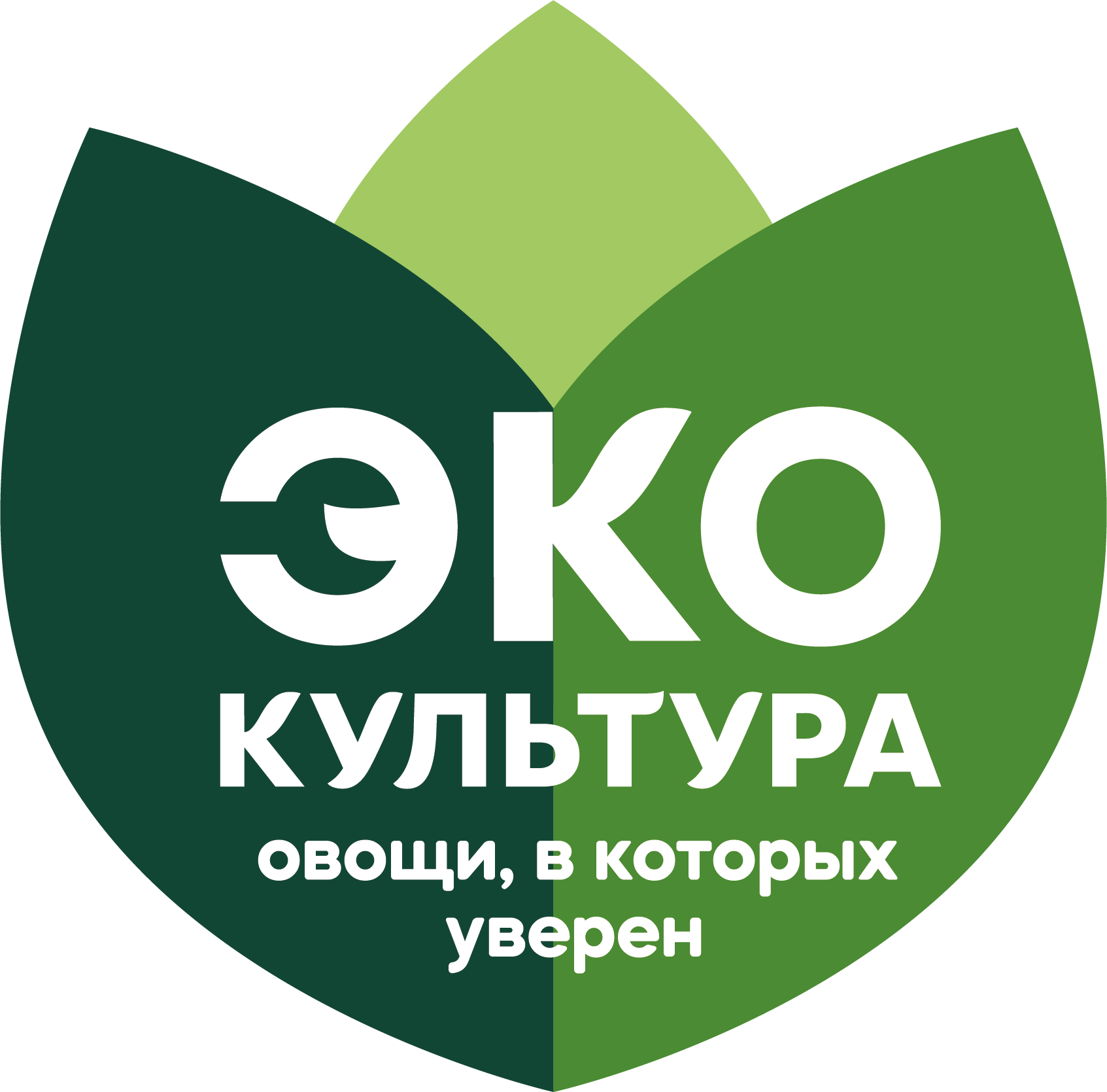 ЭКО Культура